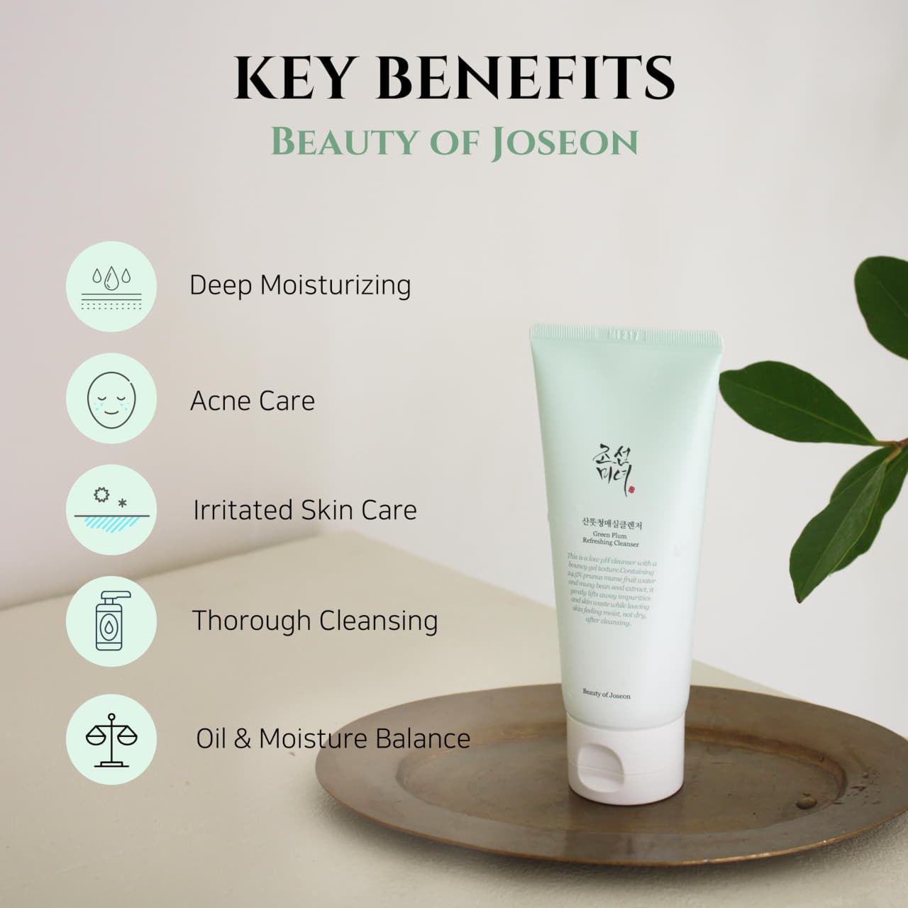 Beauty of Joseon Green Plum Refreshing Cleanser 100ml JZCosmetics.com