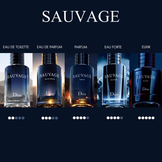 Sauvage Dior EDP Perfume 100ml – Luxury Masculine Fragrance with Long-Lasting Freshness & Elegance JZ Cosmetics
