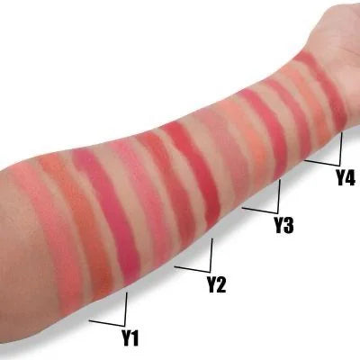 Miss Rose Dreamy 3 in 1 Blush JZ Cosmetics