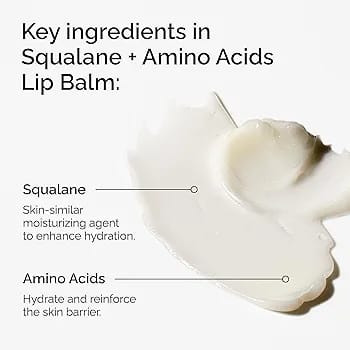 The Ordinary Squalane + Amino Acids Lip Balm 15ml JZCosmetics.com